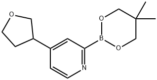 4-(Oxolan-3-yl)pyridine-2-boronic acid neopentylglycol ester|4-(Oxolan-3-yl)pyridine-2-boronic acid neopentylglycol ester