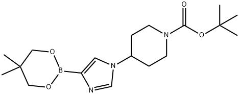 2223011-24-1