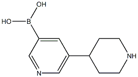(5-(piperidin-4-yl)pyridin-3-yl)boronic acid Struktur