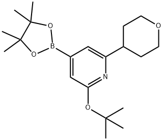 2-(tert-butoxy)-6-(tetrahydro-2H-pyran-4-yl)-4-(4,4,5,5-tetramethyl-1,3,2-dioxaborolan-2-yl)pyridine Struktur