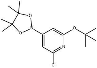 2-(tert-butoxy)-6-chloro-4-(4,4,5,5-tetramethyl-1,3,2-dioxaborolan-2-yl)pyridine Struktur