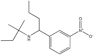 (2-methylbutan-2-yl)[1-(3-nitrophenyl)butyl]amine Struktur