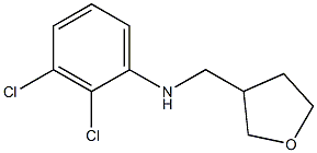 2,3-dichloro-N-(oxolan-3-ylmethyl)aniline Struktur