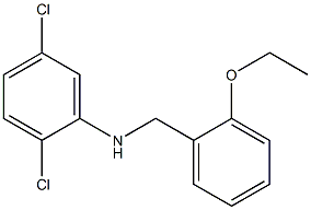 2,5-dichloro-N-[(2-ethoxyphenyl)methyl]aniline Struktur