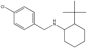 2-tert-butyl-N-[(4-chlorophenyl)methyl]cyclohexan-1-amine Struktur