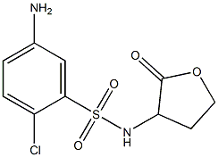 5-amino-2-chloro-N-(2-oxooxolan-3-yl)benzene-1-sulfonamide Struktur
