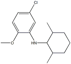 5-chloro-N-(2,6-dimethylcyclohexyl)-2-methoxyaniline Struktur