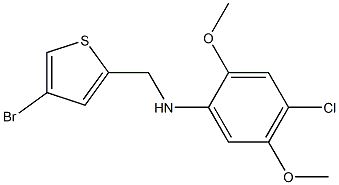 N-[(4-bromothiophen-2-yl)methyl]-4-chloro-2,5-dimethoxyaniline Struktur