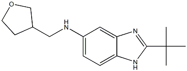 2-tert-butyl-N-(oxolan-3-ylmethyl)-1H-1,3-benzodiazol-5-amine Struktur