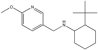 2-tert-butyl-N-[(6-methoxypyridin-3-yl)methyl]cyclohexan-1-amine Struktur
