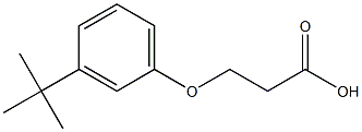 3-(3-tert-butylphenoxy)propanoic acid