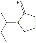 1-(butan-2-yl)pyrrolidin-2-imine Struktur