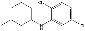 2,5-dichloro-N-(heptan-4-yl)aniline Struktur