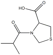 3-isobutyryl-1,3-thiazolidine-4-carboxylic acid Struktur