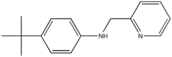 4-tert-butyl-N-(pyridin-2-ylmethyl)aniline Struktur