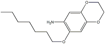 7-(heptyloxy)-2,3-dihydro-1,4-benzodioxin-6-amine Struktur
