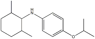 N-(2,6-dimethylcyclohexyl)-4-(propan-2-yloxy)aniline Struktur