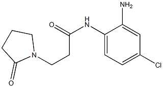 N-(2-amino-4-chlorophenyl)-3-(2-oxopyrrolidin-1-yl)propanamide Struktur
