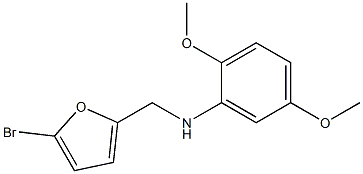 N-[(5-bromofuran-2-yl)methyl]-2,5-dimethoxyaniline Struktur