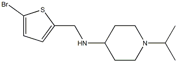 N-[(5-bromothiophen-2-yl)methyl]-1-(propan-2-yl)piperidin-4-amine Struktur