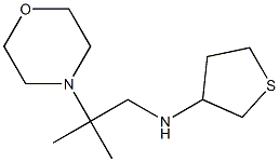 N-[2-methyl-2-(morpholin-4-yl)propyl]thiolan-3-amine Structure