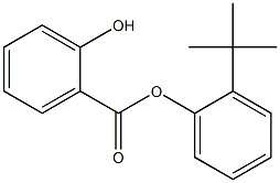 Salicylic acid 2-tert-butylphenyl ester Struktur