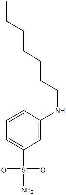 3-(heptylamino)benzene-1-sulfonamide Struktur