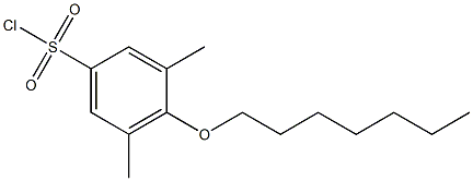 4-(heptyloxy)-3,5-dimethylbenzene-1-sulfonyl chloride Struktur