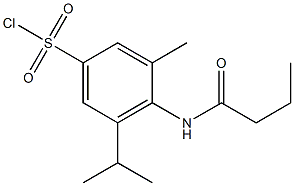 4-butanamido-3-methyl-5-(propan-2-yl)benzene-1-sulfonyl chloride Struktur