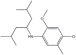 4-chloro-N-(2,6-dimethylheptan-4-yl)-2-methoxy-5-methylaniline Structure