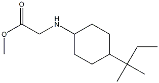 methyl 2-{[4-(2-methylbutan-2-yl)cyclohexyl]amino}acetate Structure