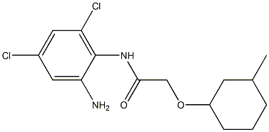 N-(2-amino-4,6-dichlorophenyl)-2-[(3-methylcyclohexyl)oxy]acetamide Struktur