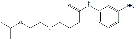 N-(3-aminophenyl)-4-[2-(propan-2-yloxy)ethoxy]butanamide Struktur