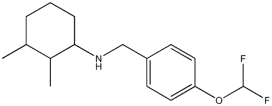 N-{[4-(difluoromethoxy)phenyl]methyl}-2,3-dimethylcyclohexan-1-amine Struktur