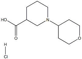 1-(tetrahydro-2H-pyran-4-yl)piperidine-3-carboxylic acid hydrochloride Struktur