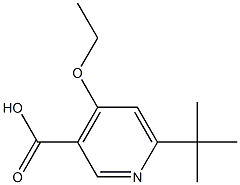 6-Tert-Butyl-4-ethoxypyridine-3-carboxylic acid Struktur