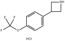  化學(xué)構(gòu)造式