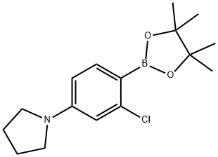 2-Chloro-4-(pyrrolidino)phenylboronic acid pinacol ester Struktur