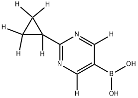 (2-(cyclopropyl-d5)pyrimidin-5-yl-4,6-d2)boronic acid Struktur