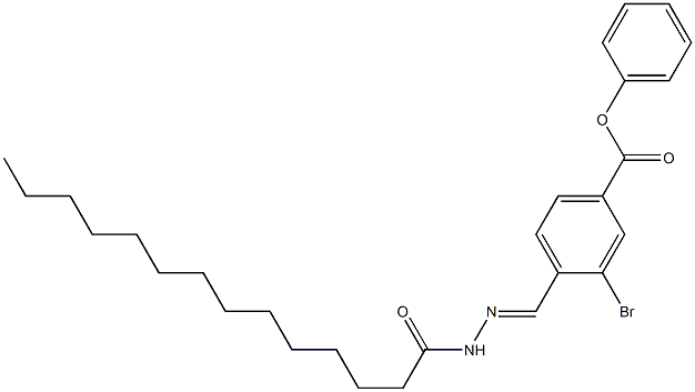 4-[(1Z)-(tetradecanamidoimino)methyl]phenyl 3-bromobenzoate Struktur