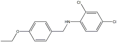 2,4-dichloro-N-[(4-ethoxyphenyl)methyl]aniline Struktur