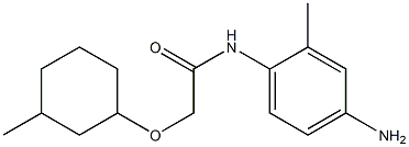 N-(4-amino-2-methylphenyl)-2-[(3-methylcyclohexyl)oxy]acetamide Struktur