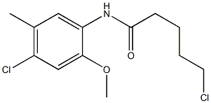 5-chloro-N-(4-chloro-2-methoxy-5-methylphenyl)pentanamide Struktur