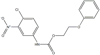 2-(PHENOXY)ETHYL N-(4-CHLORO-3-NITROPHENYL)CARBAMATE Struktur
