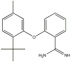 2-(2-tert-butyl-5-methylphenoxy)benzene-1-carboximidamide Struktur