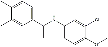 3-chloro-N-[1-(3,4-dimethylphenyl)ethyl]-4-methoxyaniline Struktur