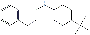 4-tert-butyl-N-(3-phenylpropyl)cyclohexan-1-amine Struktur