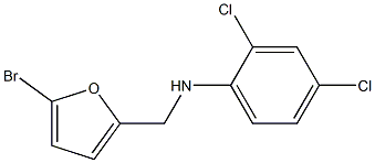 N-[(5-bromofuran-2-yl)methyl]-2,4-dichloroaniline Struktur
