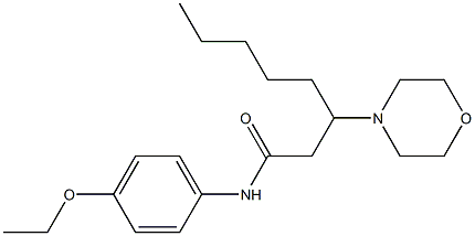 N-(4-Ethoxyphenyl)-3-morpholinooctanamide Struktur