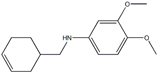 N-(cyclohex-3-en-1-ylmethyl)-3,4-dimethoxyaniline Struktur